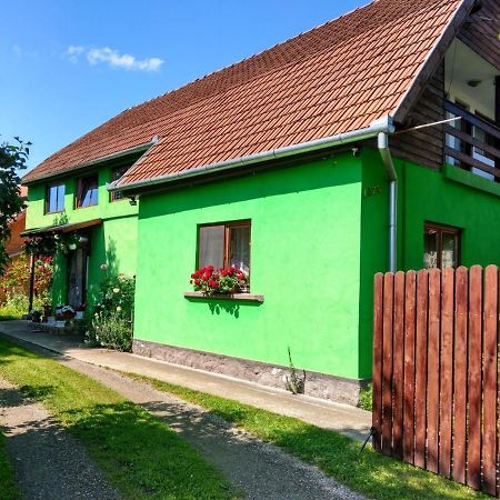 Hotel Csergo Ildiko Vendeghaz Lăzarea Exteriér fotografie