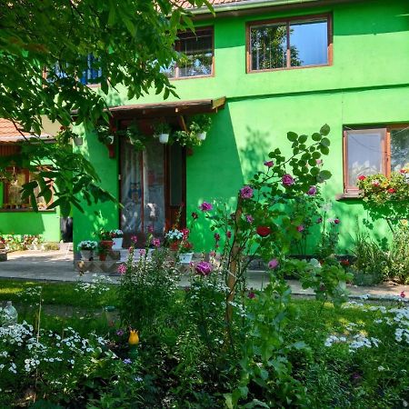 Hotel Csergo Ildiko Vendeghaz Lăzarea Exteriér fotografie