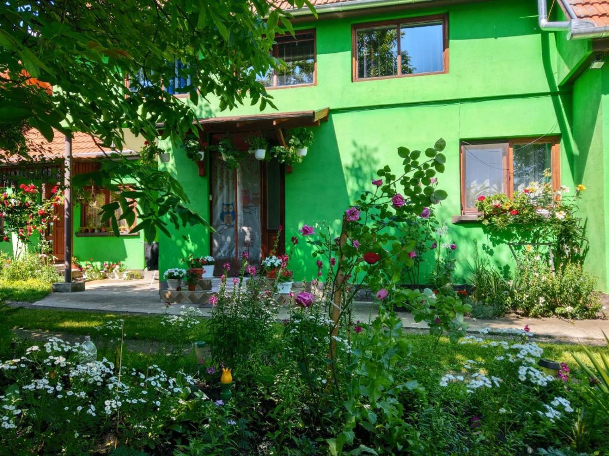Hotel Csergo Ildiko Vendeghaz Lăzarea Exteriér fotografie