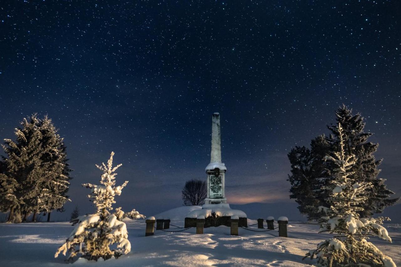 Hotel Csergo Ildiko Vendeghaz Lăzarea Exteriér fotografie