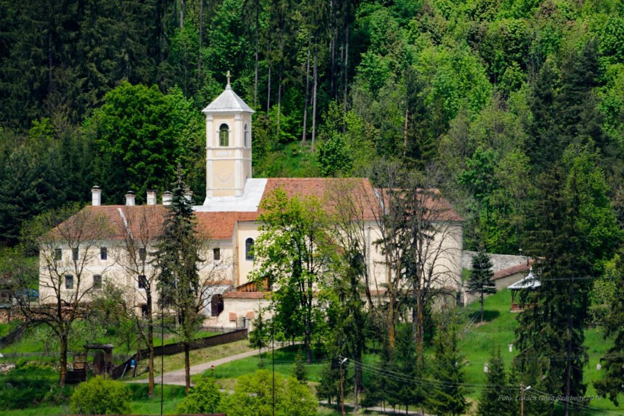 Hotel Csergo Ildiko Vendeghaz Lăzarea Exteriér fotografie